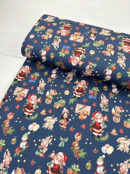 Weihnachtsjersey Baumwolljersey Winterzauber Blau