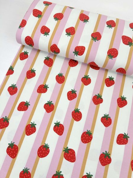 Baumwolljersey Früchte Erdbeere